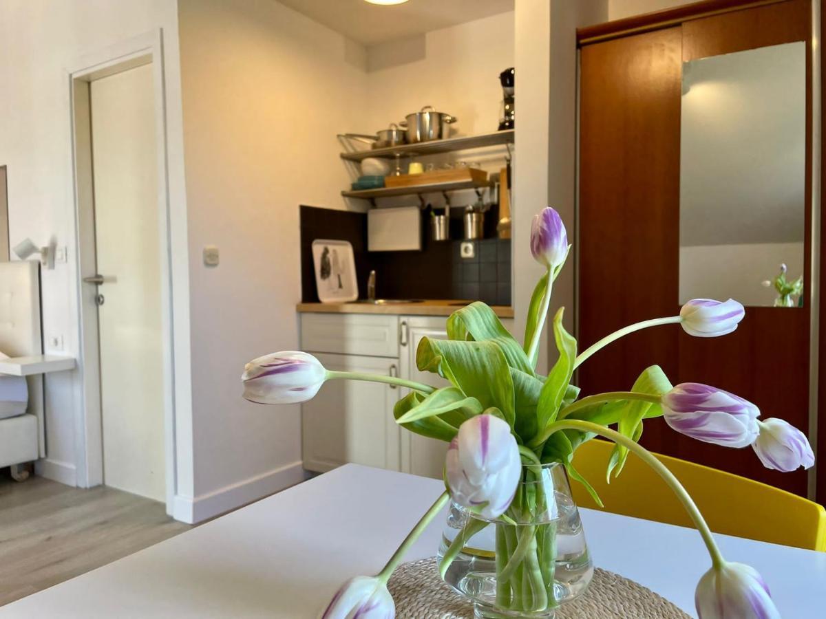 Apartments Carol ซัฟทัท ภายนอก รูปภาพ
